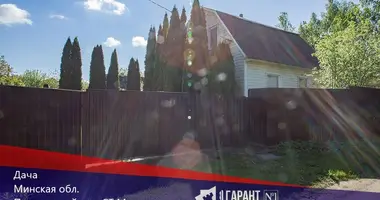 Dom w Piarezyrski sielski Saviet, Białoruś