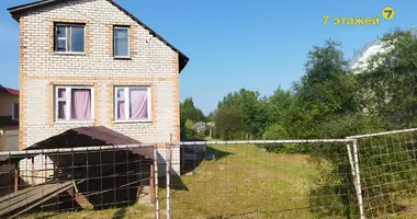 House in Dziamidavicki sielski Saviet, Belarus