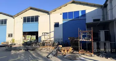 Gewerbefläche 600 m² in Tirana, Albanien