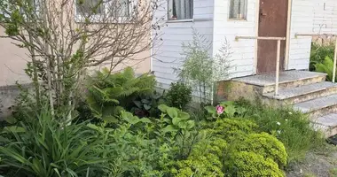  в Минск, Беларусь