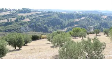 Terrain dans Polychrono, Grèce