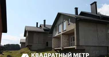 House in Opsauski sielski Saviet, Belarus