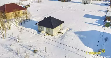 Cottage in Navasiellie, Belarus
