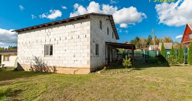 House in Lasanski sielski Saviet, Belarus