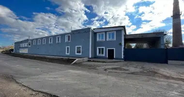 Nieruchomości komercyjne 1 500 m² w Pivdenne, Ukraina