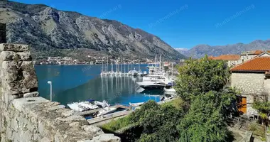 Wohnung 1 Schlafzimmer in Kotor, Montenegro