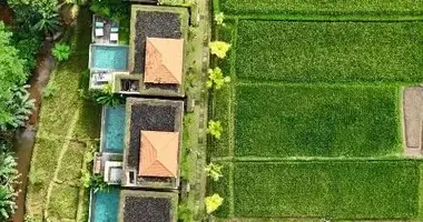1 bedroom apartment in Payangan, Indonesia