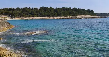 Villa 6 bedrooms in Opcina Selca, Croatia