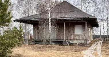 House in Cerninski sielski Saviet, Belarus