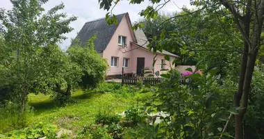 House in Piatryskauski sielski Saviet, Belarus