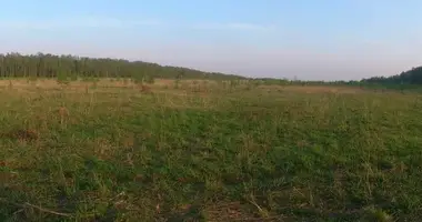 Склад 41 997 м² в Россия