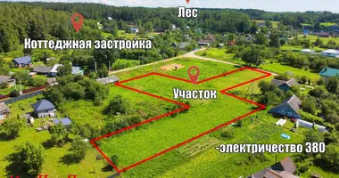 Parcela en Ozyaritska Slabadski rural council, Belarús