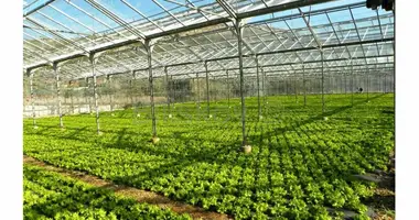 Zakład produkcyjny 3 060 m² w Kastel Stafilic, Chorwacja