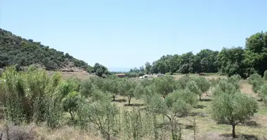 Terrain dans Municipality of Sithonia, Grèce