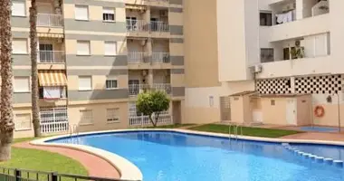 Wohnung 3 zimmer in Torrevieja, Spanien