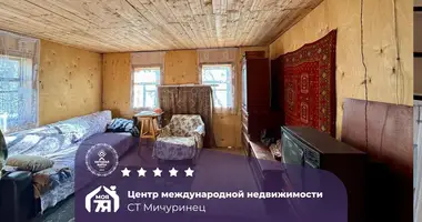 Haus in Alahnovicy, Belarus