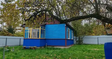 House in Radaskovicki sielski Saviet, Belarus
