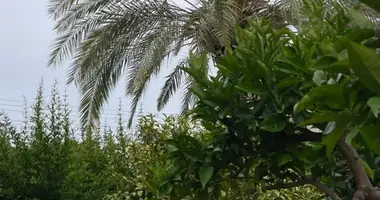 Apartamento 3 habitaciones en Peyia, Chipre