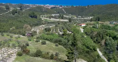 Terrain dans Kassandra Municipality, Grèce