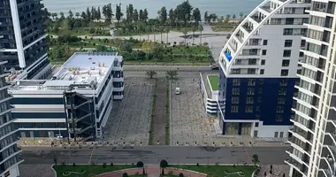 2 bedroom apartment in Batumi, Georgia