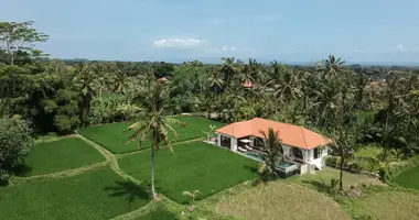 3 bedroom apartment in Pejeng Kawan, Indonesia