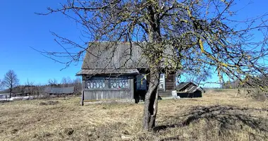 Dom 2 pokoi w Zodzinski sielski Saviet, Białoruś