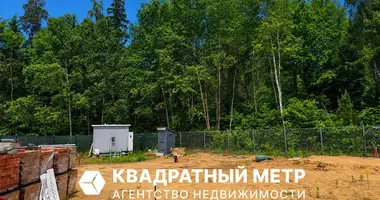Plot of land in Kalodziscanski sielski Saviet, Belarus