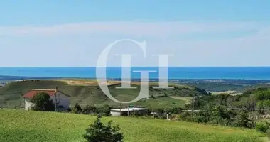 Villa 7 zimmer in Chieuti, Italien