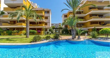 Wohnung 3 zimmer in Torrevieja, Spanien