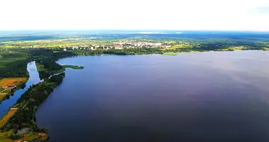 Дом в Новозарянский сельский Совет, Беларусь