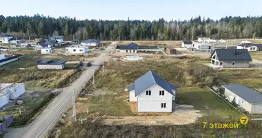 Dom w Zabalocki sielski Saviet, Białoruś