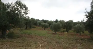 Участок земли в Никити, Греция