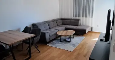 Apartamento 1 habitacion en Podgorica, Montenegro