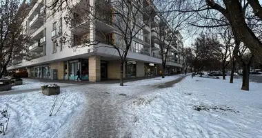 Propriété commerciale 100 m² dans Varsovie, Pologne