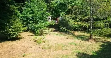 Grundstück in Obernhain, Deutschland