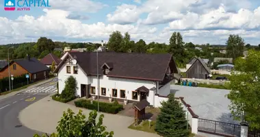 Gewerbefläche 331 m² in Druscheniken, Litauen