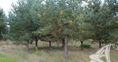 Plot of land in Damacauski sielski Saviet, Belarus