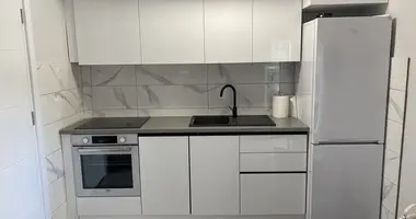 Wohnung 1 Schlafzimmer in Baosici, Montenegro