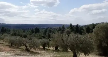 Участок земли в Касандрия, Греция