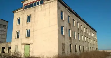 Коммерческое помещение 1 254 м² в Одесса, Украина