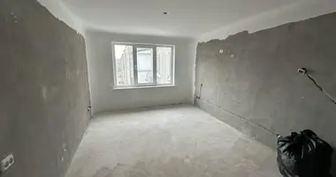 Wohnung 3 zimmer in Druschny, Belarus