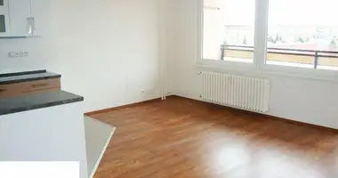 Wohnung 5 zimmer in Hauptstadt Prag, Tschechien