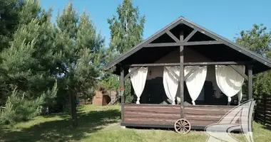 Haus in Zabinkauski sielski Saviet, Belarus
