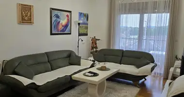 Квартира 1 комната в Даниловград, Черногория