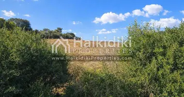 Участок земли в Амолиани/Амулиани/Амульяни/Аммулияни, Греция