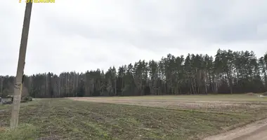 Plot of land in Piekalin, Belarus