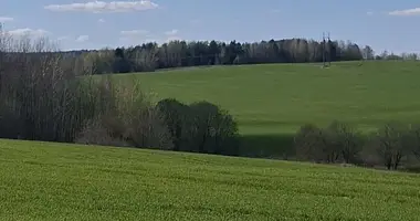 Plot of land in Lahojsk selsaviet, Belarus