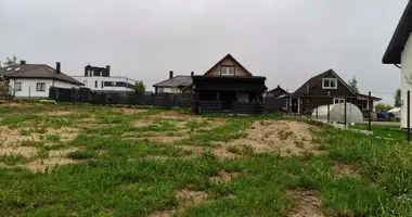 House in Dziamidavicki sielski Saviet, Belarus