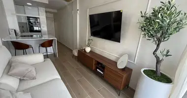 Penthouse 2 bedrooms in Torrevieja, Spain