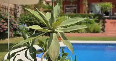 4 bedroom house in Spain
